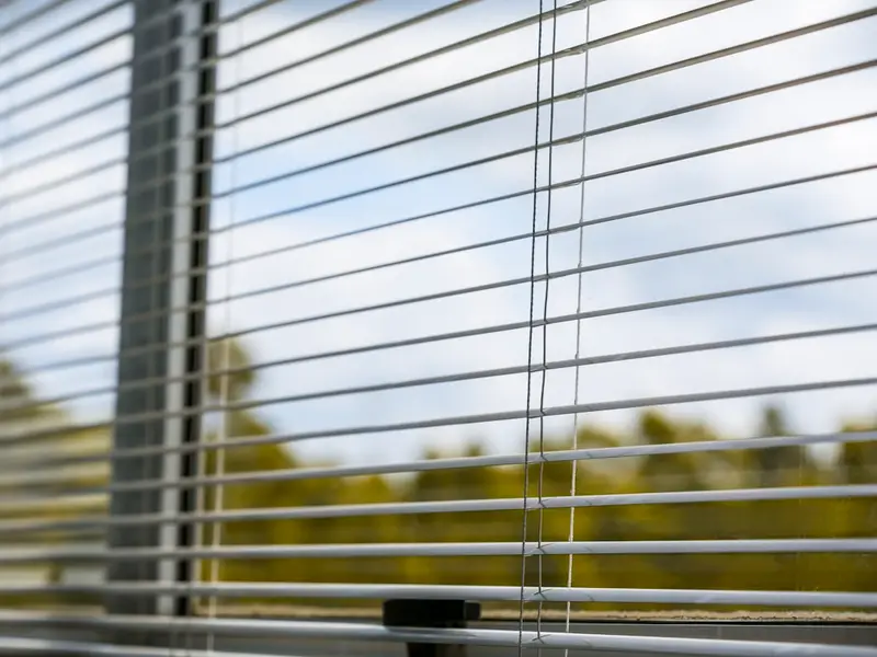Jalousie am Fenster mit Blick nach draußen
